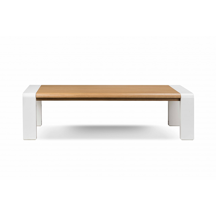 Minimalist Modern Coffee Table