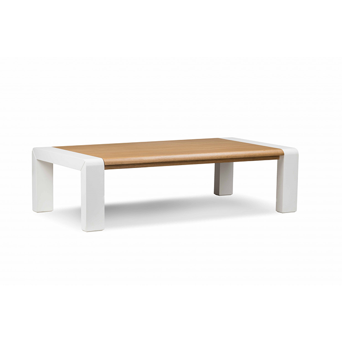 Minimalist Modern Coffee Table