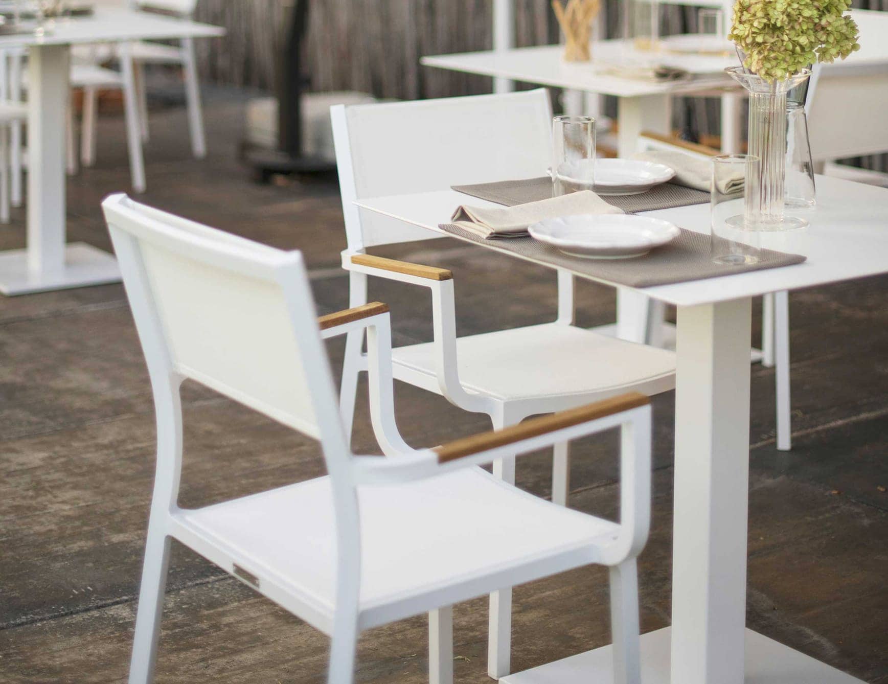 Contemporary Braccioli Dining Chairs