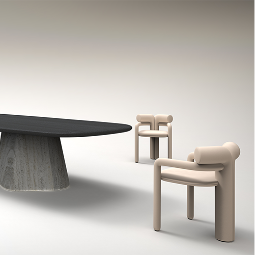 Dining chair with different design