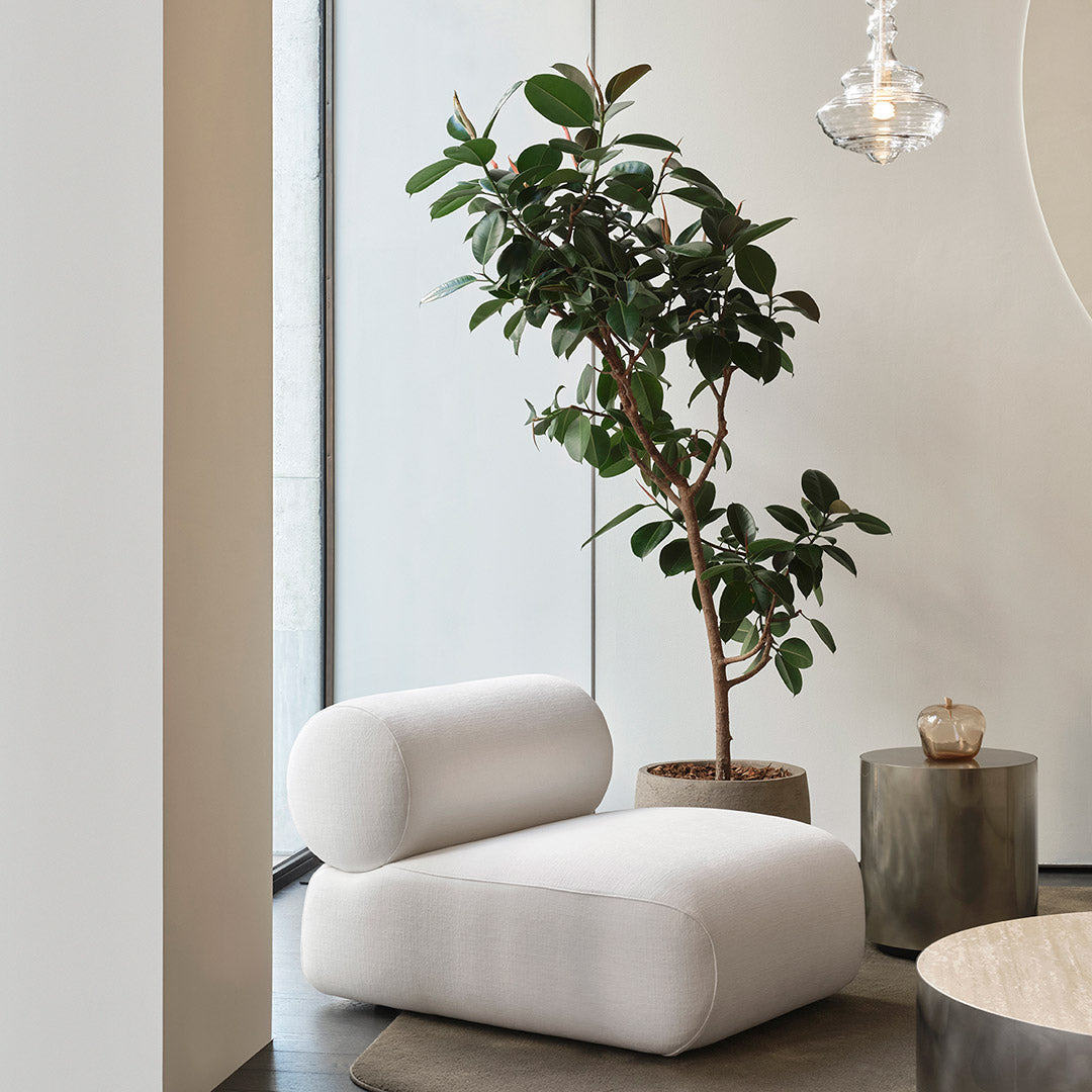 Riviera Chaise Longues