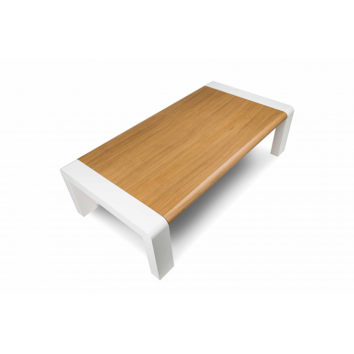 Minimalist Modern Coffee Table
