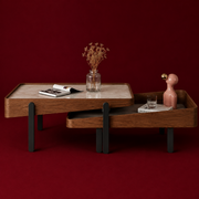 Elegant Minimalist Coffee Table Set