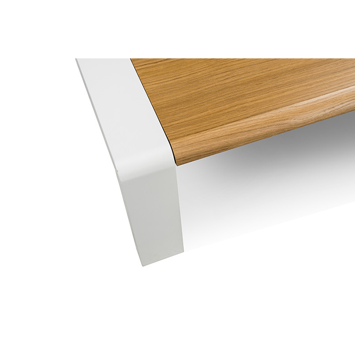 Minimalist Modern Coffee Table