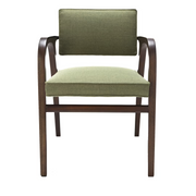 luxurious dining chair