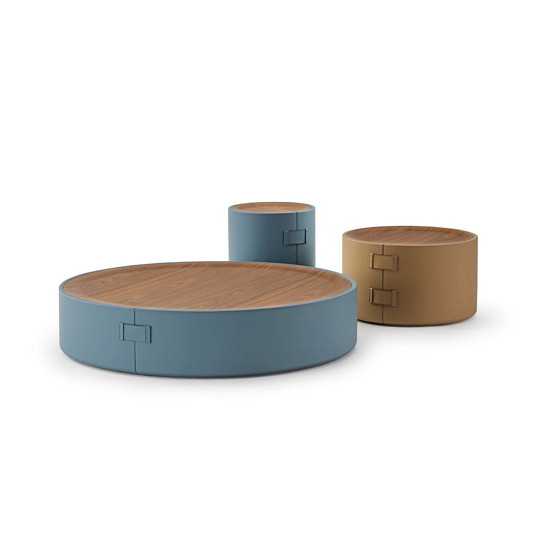 Driftwood Coffee Table Set Design
