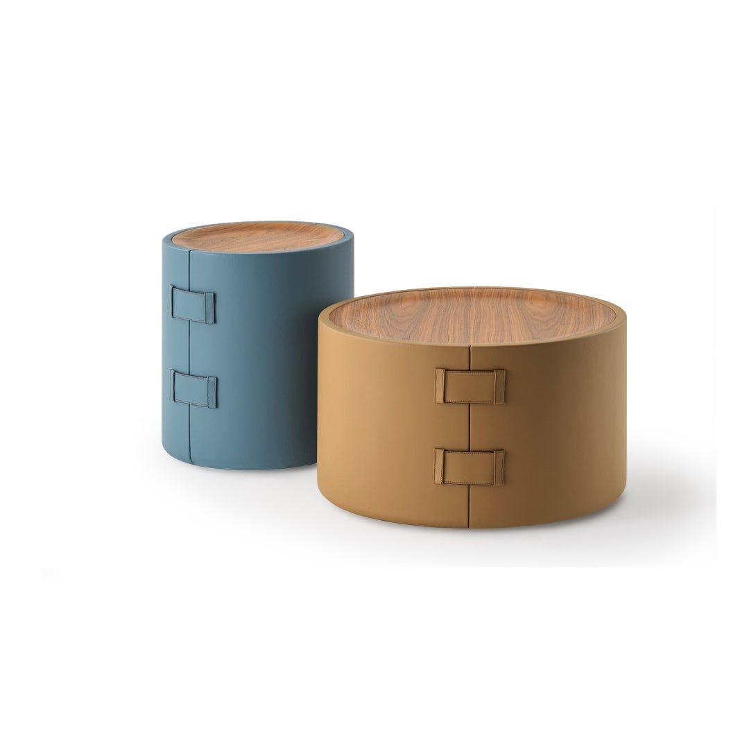 Driftwood Coffee Table Set Design