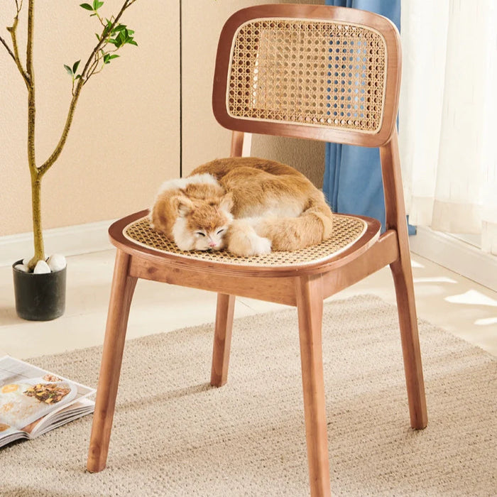 Chair WONDA