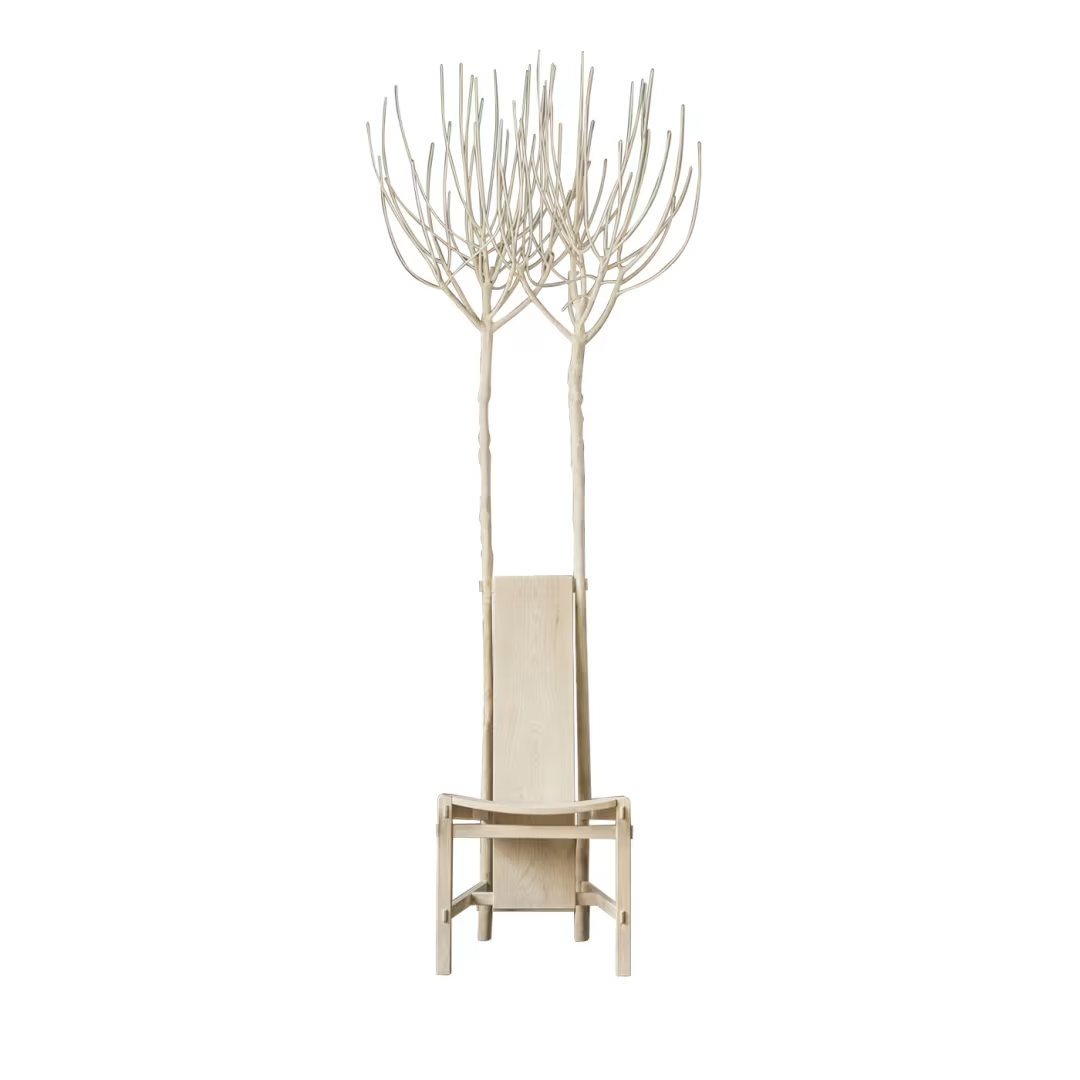 Fiorita maple wood chair with beige color