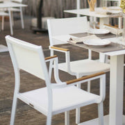 Contemporary Braccioli Dining Chairs