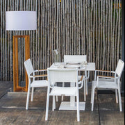 Contemporary Braccioli Dining Chairs