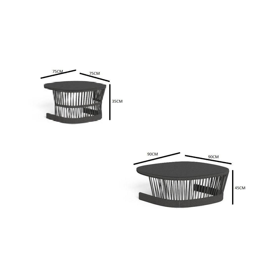 Distinctive double coffee table