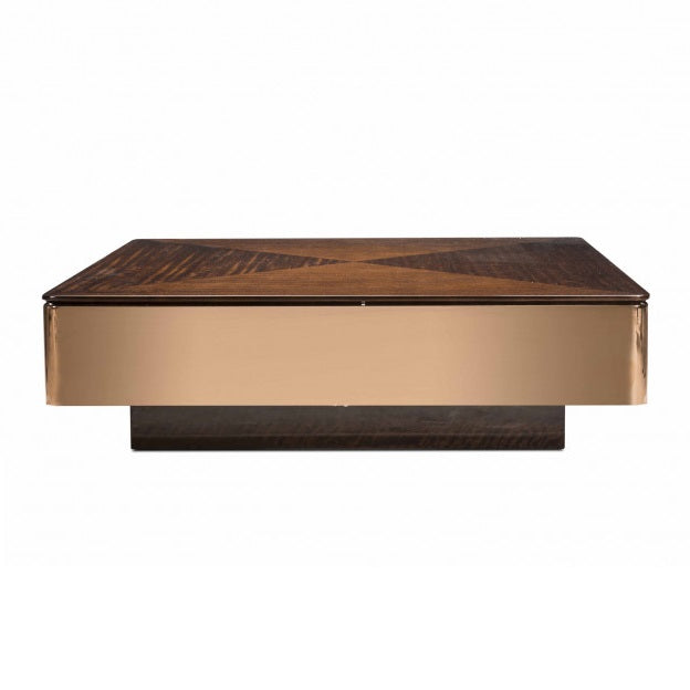 Luxurious design coffee table