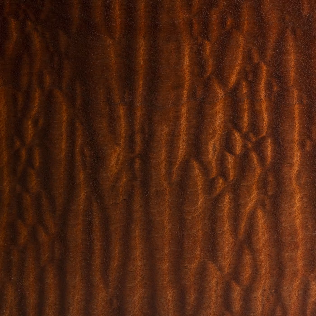 Vitruvio mahogany pomele large coffee table