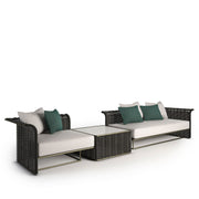 Luxury and elegant design sofa
