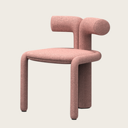 Dining chair with different design
