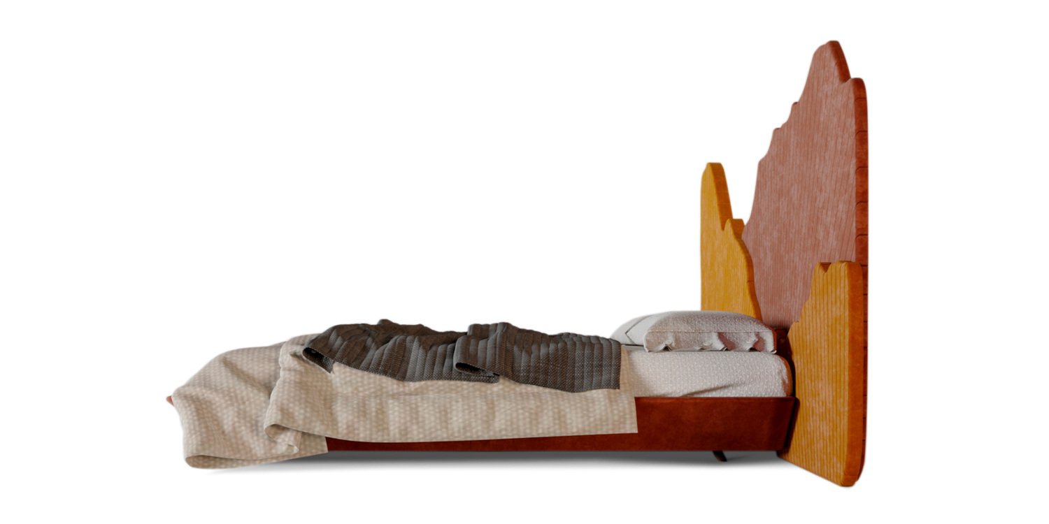 Bed with a unique and distinctive design