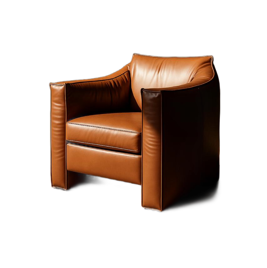 Luxurious leather chair