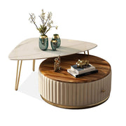 Luxurious coffee table