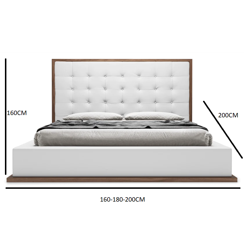 Ludlow bed
