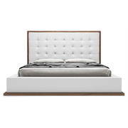 Ludlow bed