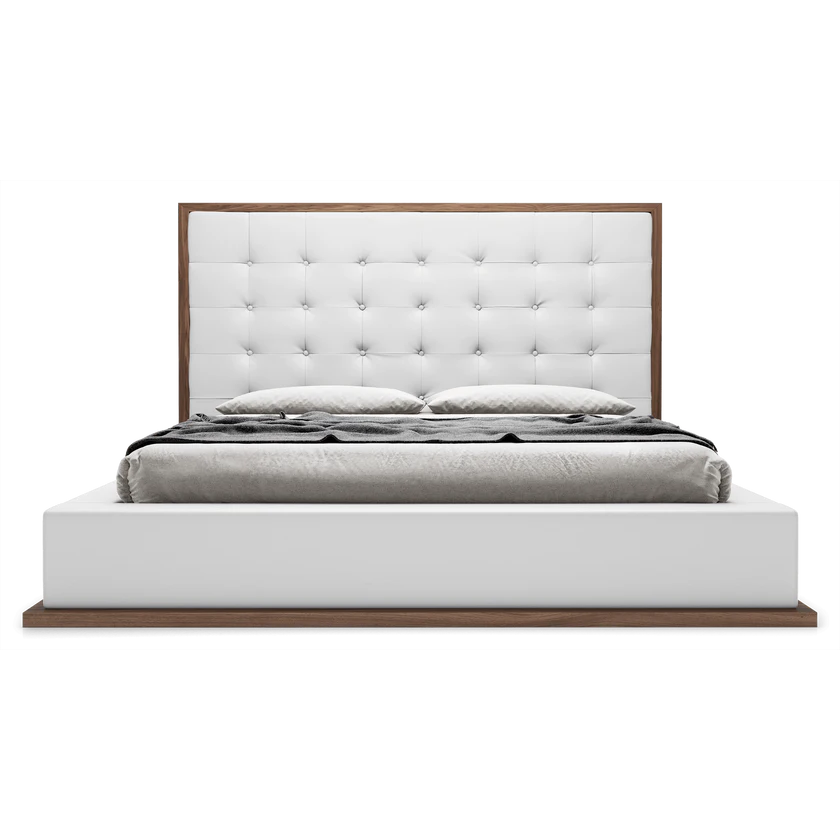 Ludlow bed